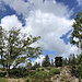 Unterwegs in den Paradisbakkerne - Sturmböen treiben Wolken vorüber und lassen auch die Bäume hin und her schwanken - wie  beispielsweise die Birken am rechten Bildrand.