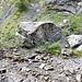 Einer der Boulderblöcke auf der anderen Flussseite vor Beginn der Klamm. Wir wollten hier schon einmal bouldern, aber leider ist es bisher immer nass gewesen.