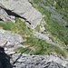 Da S1 verso inizio della via