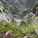 Canalone che precipita in Val Sorba, tra la Pala della Gronda e la Cima Morticci