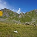 Der Wegweiser beim Rifugio Mont Fallère kündigt noch 1.40 h zum Gipfel an