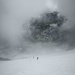 Über große Schneefelder gehts weiter hinauf 