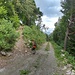 Inizio del sentiero dalla pista tagliafuoco