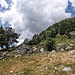Corte di Roncaglia