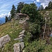 Corte di Roncaglia - la cisterna