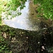 es plätschert im Wald