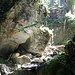 Anstieg im schattigen Wald
