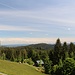 Bregenzer Wald