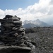 Barenhorn