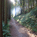 hier bin ich bereits auf dem Wander- und Bike Weg hinauf nach Oberegg