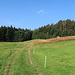 am Wanderweg in Richtung St. Anton