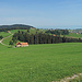 nun geht es über Wanderwege hinunter und wieder hinauf zum Ausflugsrestaurant Waldegg.