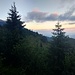 Am Ende des Aufstieges über den Vormsweg, Blick Richtung Sevelen/Buchs. Der Weiterweg zweigt hier links Richtung Flidaböden ab.