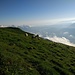 Auf der Gauschla