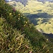 Auf dem Grat zum Chli Alvier, Blick hinab nach Vorderpalfries.