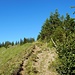 Nun wanderte ich auf dem Grätle ran an den Berg. 