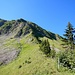 Der Grat ist zwar bewaldet, aber doch begehbar, weil hier im Sommer ein Weidezaun aufgestellt wird. Diesem, bzw. den dazugehörigen Wegspuren, die genau auf der Kante verlaufen, folgte ich.