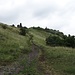 ...auf das Gipfelplateau mit der Burgruine Csobánc