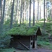 Morgenstimmung an der Rötenbach-Schlucht-Hütte