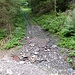 Auch dieser vom Straßenende nach Nordosten führende Karrenweg ist noch in der Karte verzeichnet.