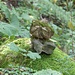 Ein bemoostes Stoamandl markiert das Ende des Karrenwegs (s.Text). Genau hier beginnt ein deutlicher Querungspfad nach Südosten in Richtung Schwarzwand. Ich folge ihm ein paar Schritte und kehre dann wieder zurück, denn ich will das Schwarzbergl nicht verpassen. 