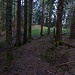 Nach einer ganz kurzen, einfachen, weglosen Passage erreiche ich vom Stoamandl aus den Sattel (der grüne Grasstreifen in der Bildmitte) zwischen Schwarzbergl und Schwarzwand. Am Sattel hängt eine Drahtrolle am Baum.