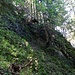 Das Querungsgelände nach Westen. Etwas unterhalb wäre es viel einfacher...