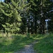 Südlich des Wiesensattels treffe ich wie erwartet auf die Wanderschilder