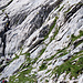 Zoom zum Klettergarten Segnesboden.