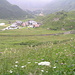Riale