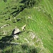 Kletterweg Speer. Blick zurück zum Einstieg