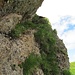 das Grasband am Schafberg Gipfelkopf