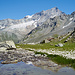 Wollgras und Weisshorn