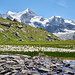 Am Wollgrassee auf 2.561 m