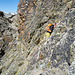 Kraxeleien am Damenweg