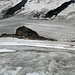 Blick auf den unteren, aperen Teil des unteren Gletschers
