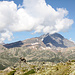 Vue NW depuis la crête de Scheenbiel.