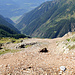 Ruines du bâtiment central de la mine de Scheenbiel (2414m). 