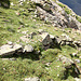 Reliquats de l'ancien sentier des mineurs.