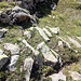 Reliquats de l'ancien sentier des mineurs.
