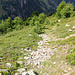 Ancien bisse de Chleealp.