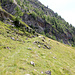 Ancien bisse de Chleealp.<br /><br />Au centre, balisage bleu-blanc du sentier Goppenstein-Bietschhornhütte. 