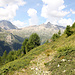 Ancien bisse de Chleealp, servant également de sentier. 