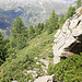 Ancien bisse de Chleealp, servant également de sentier.