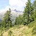 Ancien bisse de Chleealp, servant également de sentier.