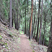 Dans la Chastlerwald.