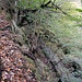[https://www.youtube.com/watch?v=nrIPxlFzDi0]