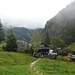 Obere Gfölleralm (1350 m)