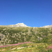 Ampi pendii sopra l'Alpe Vazzeda