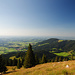 Auf den Wiesen der Bucher Alm